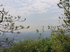-灵岩山风景区