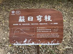 -华侨城湿地公园