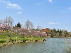 -上海海湾国家森林公园