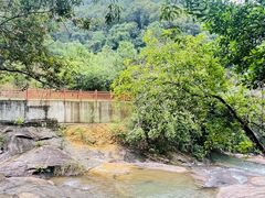 -广州白江湖森林公园