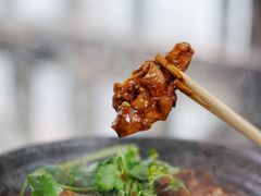 鸡鸡蛙蛙中煲-川香煲(茅台路店)