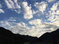 -小芝红树林