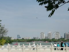 -天津水上公园