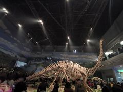 -自贡恐龙博物馆