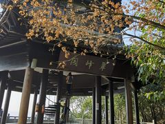 -杭州半山国家森林公园