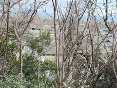 -丽江束河古镇-石莲古寺