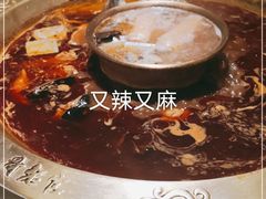 -哥老官重庆美蛙鱼头(松江地中海十八哥店)