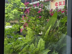 -老友王·南宁特色菜(金汇如意坊店)