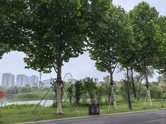 -洋湖国家湿地公园