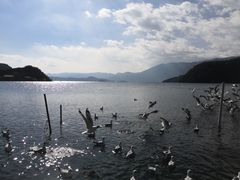 -泸沽湖里格半岛
