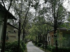 -河源御临门度假村温泉