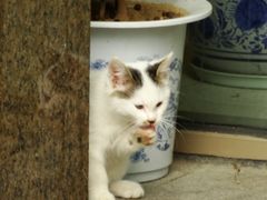 -上海美兆健康医疗体检中心(古北店)