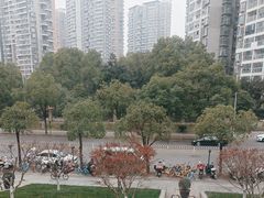 -大拙里·精致融合菜(沙湖桃源国际店)