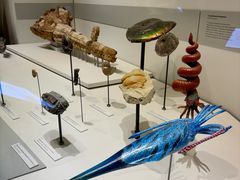 -墨尔本博物馆(Melbourne Museum)