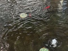 -天津波士信达奔驰4S店(卫津南路店)