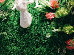 -九府羊·鲜羊火锅·烤串(新华路店)