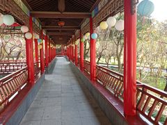 -南汇桃花村