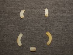 -鸿山遗址博物馆