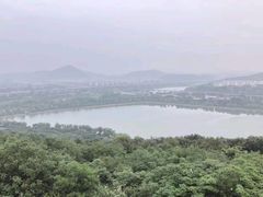 -羊山湖公园