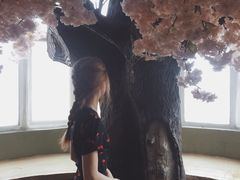 -猫猫幼稚园·撸猫·桌游·电玩