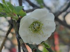 -碑林公园