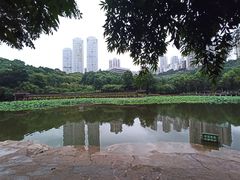 -龙头寺公园