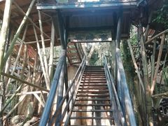 -天门沟九州驿站树上汤泉