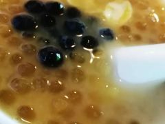 -港湾糖水