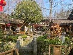 -青城甲(青城山店)