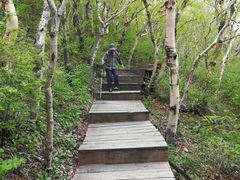 -白草畔自然风景区