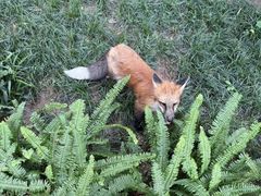 -西安市长乐公园