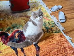 -钱汤圆(清源大道店)