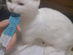 -有何Book(六堰体育馆店)