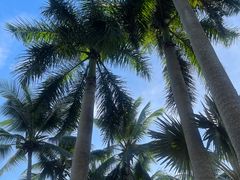 -石梅湾艾美度假酒店