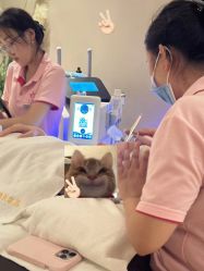 点击看大图 -阅年轻·AI家庭健康体质调理