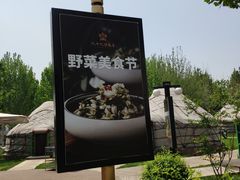 -九十九顶毡房(阜石路店)