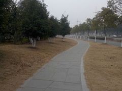 android_upload_pic-仙林宾馆-餐厅