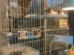 -猫的天空之城概念书店(北戴河蔚蓝海岸店)