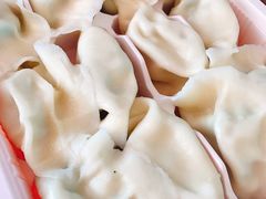 鲅鱼水饺-添福来墨鱼饺子 · 海鲜东北菜(泡崖店)