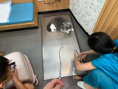 -联合动物医院(光谷诊疗中心)