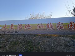 -盐城丹顶鹤湿地生态旅游区