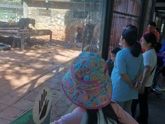 -昆明动物园