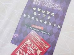 -爱丽丝冒险奇遇记