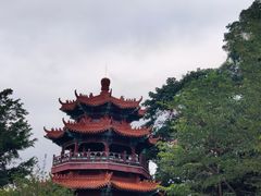 -神光山国家森林公园