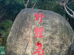 -野狸岛