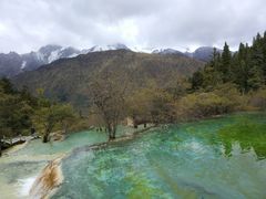 -黄龙山原始森林景区