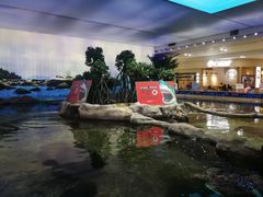 -鸿通城购物中心