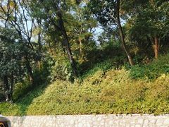 -广州市白云山风景名胜区