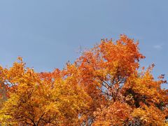-张掖大佛寺景区