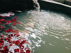 -西安国际创新人才交流中心•药浴温泉
